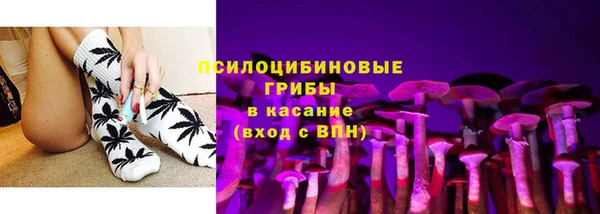 прущая мука Туринск