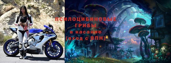 а пвп мука Тында